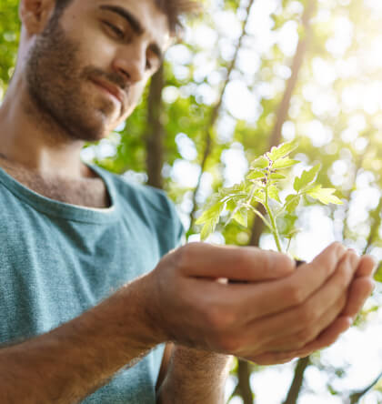 A human is holding a seedling in their hands, with trees and sky in the background.