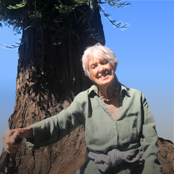 Joanna Macy seated in front of a Redwood tree.